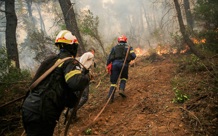 Πυρκαγιά στην περιοχή Πικουλιάνικα στη Σπάρτη