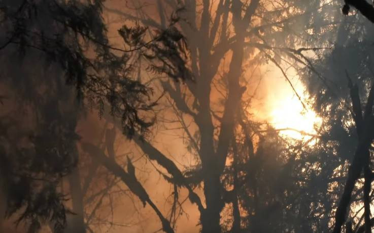 Φλέγεται ο «πνεύμονας» της Γης: Θλιβερές εικόνες από τον Αμαζόνιο