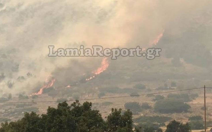 Φωτογραφίες από τη μεγάλη φωτιά στους Δελφούς, απειλείται ο εθνικός δρυμός του Παρνασσού