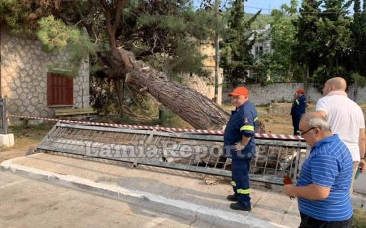 Έπεσε δέντρο στο σταθμό του τρένου στη Στυλίδα