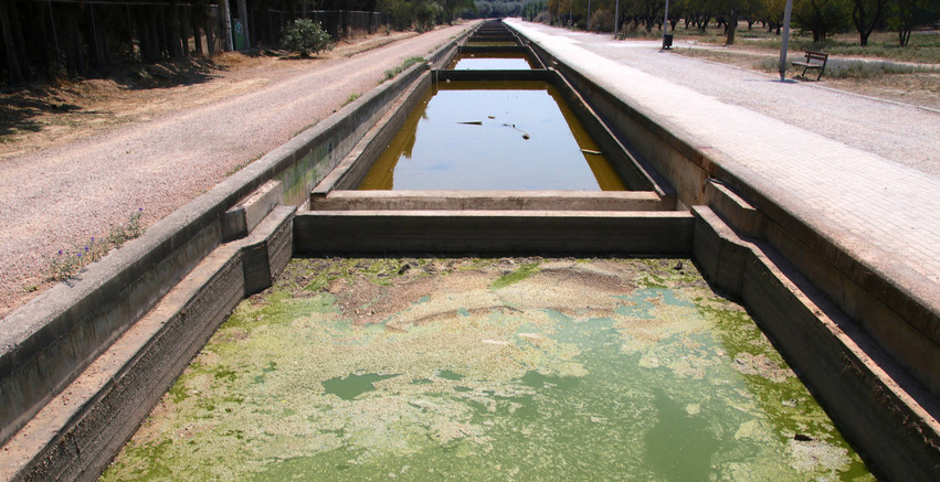Αυτοψία: Σε τραγική κατάσταση τα ύδατα στο Μητροπολιτικό πάρκο «Αντώνης Τρίτσης»