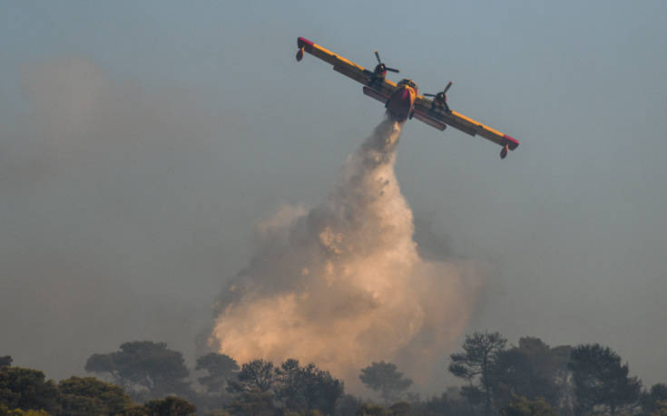 Αρτοποιός για φωτιά στο Άγιο Όρος: Δεν είναι τόσο ανησυχητική &#8211; Δεν απειλείται κατοικημένη περιοχή