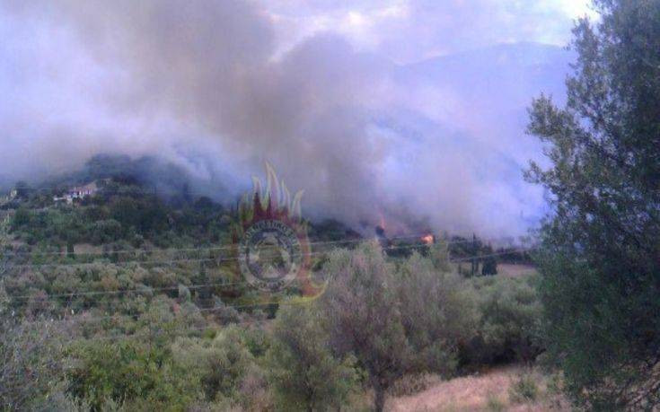 Ενισχύονται οι δυνάμεις της Πυροσβεστικής στην πυρκαγιά στη Φωκίδα