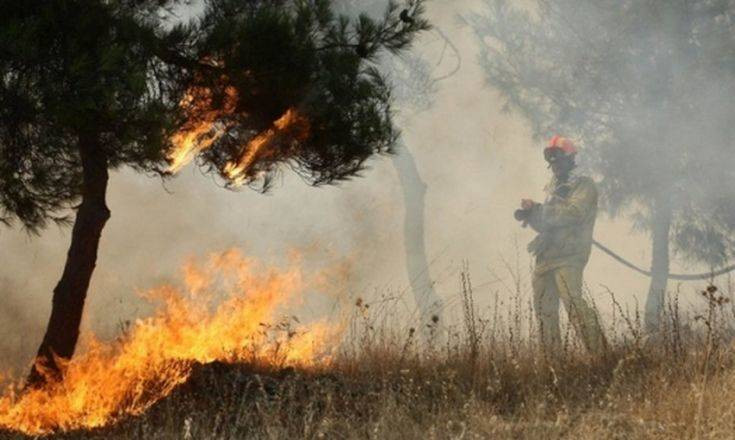 Τραγωδία στο Αιτωλικό: Ηλικιωμένος απανθρακώθηκε καίγοντας ξερά χόρτα