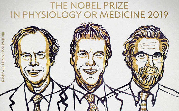 Οι τρεις επιστήμονες που κέρδισαν το Νόμπελ Ιατρικής για το 2019