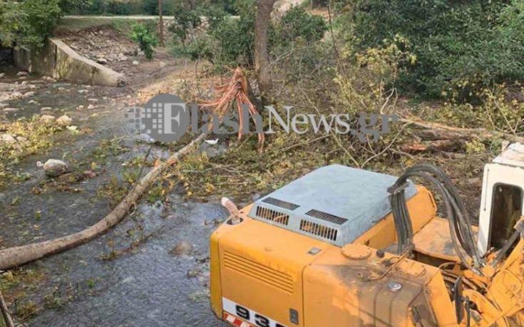 Κρήτη: Δέντρο κατάπλακωσε άντρα και τον σκότωσε