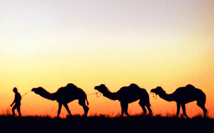 Αυστραλία: Ελεύθεροι σκοπευτές από ελικόπτερα σκότωσαν 5.000 καμήλες