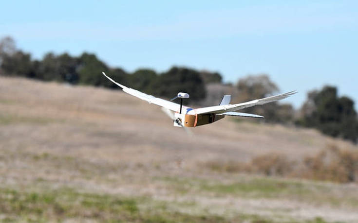 Το πιο πρωτότυπο drone του κόσμου έχει πραγματικά… φτερά