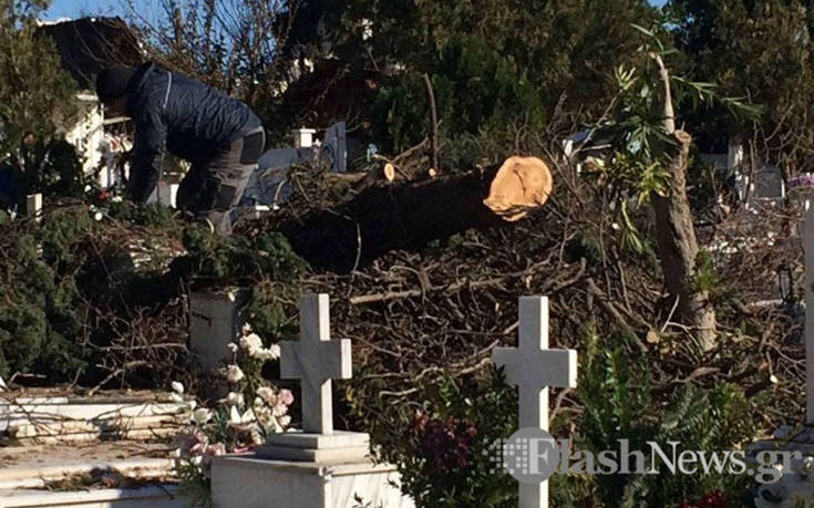 Δέντρο ξεριζώθηκε κι έπεσε πάνω σε τάφους στο νεκροταφείο στα Χανιά