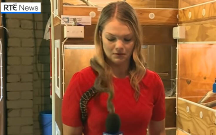 Δημοσιογράφος έκανε ρεπορτάζ με φίδι στους ώμους κι αυτό επιτέθηκε στο μικρόφωνό της
