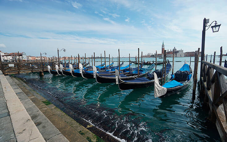 UPDATE: Δεν εμφανίστηκαν δελφίνια στα κανάλια της Βενετίας εξαιτίας της καραντίνας