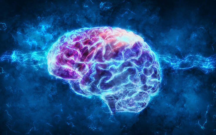 Τι κατάλαβαν οι επιστήμονες όταν είδαν μνήμες να σχηματίζονται στον εγκέφαλο