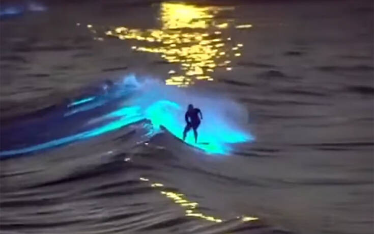 Εντυπωσιακό βίντεο: Σπάνιο φαινόμενο με κύματα που λάμπουν και φωτίζουν έναν σέρφερ