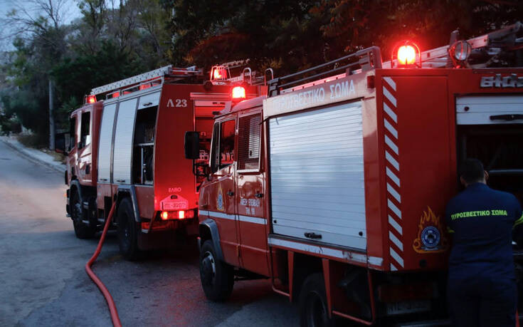 Φωτιά σε ελαιώνα στη Βοιωτία