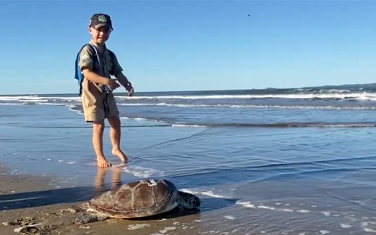 Ο 5χρονος που βοήθησε 3 θαλάσσιες χελώνες να επιστρέψουν στον ωκεανό