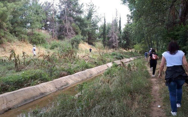 Μια «αγκαλιά» γύρω από την πόλη: Εξόρμηση στη φύση στην περιφερειακή τάφρο της Θεσσαλονίκης