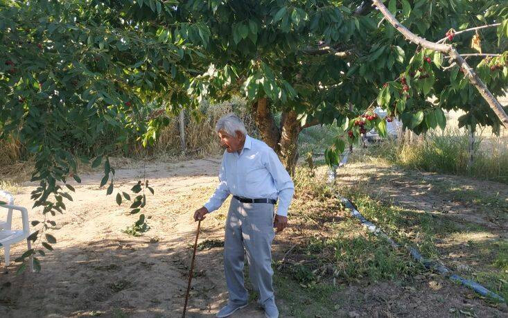 Ο επίμονος αγρότης των 88 ετών: Στα χωράφια εδώ και επτά δεκαετίες με πυξίδα την καινοτομία