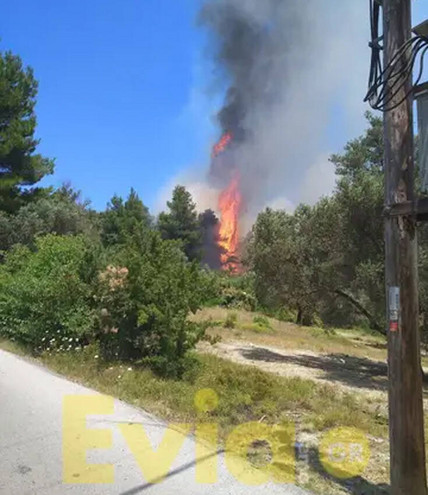 Μεγάλη φωτιά στην Εύβοια και κινητοποίηση από την Πυροσβεστική &#8211; Εικόνες από το σημείο