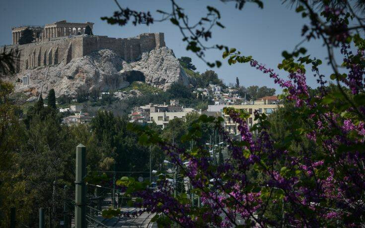 Δήμος Αθηναίων: Ξεκινά ανανεωμένο φέτος το πρόγραμμα «Adopt-A-Tree/Υιοθέτησε νεοφυτεμένα δέντρα»