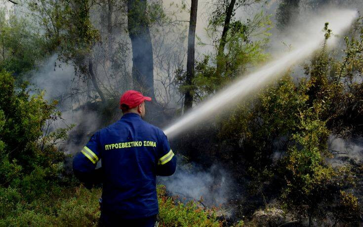 Σε εξέλιξη η φωτιά στην Τζια – Οι δυνατοί άνεμοι δυσκολεύουν το έργο των πυροσβεστών