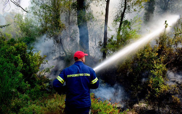 Φωτιά σε δασική έκταση στα Παλιάμπελα Βόνιτσας