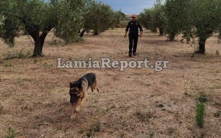 Εντείνεται η αναζήτηση για τον 75χρονο που αγνοείται στην Ιστιαία &#8211; Επιστρατεύτηκε ειδικός σκύλος της ΕΜΑΚ
