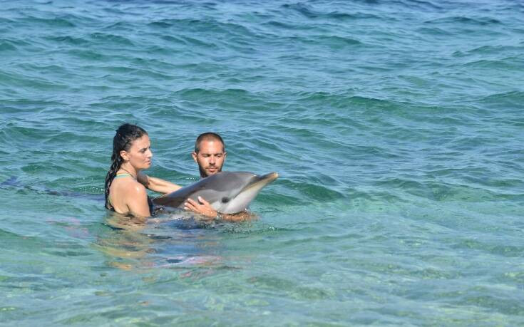 Δελφίνι με δυσκολία στη κολύμβηση και στην αναπνοή έχασε τον προσανατολισμό του στην Αλόννησο
