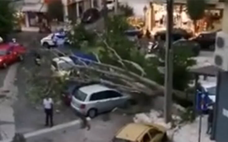 Πτώσεις δέντρων και προβλήματα από τη δυνατή νεροποντή που έπληξε την Κέρκυρα