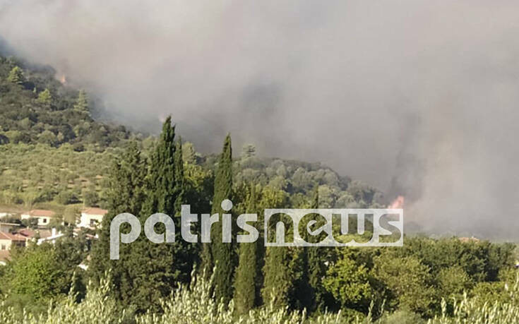 Καμία φθορά στον αρχαιολογικό χώρο της Δάφνης από τη φωτιά στην Ηλεία