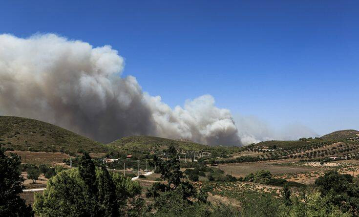 Δήμαρχος Σαρωνικού για την φωτιά στην Κερατέα: Έχουν καεί σπίτια