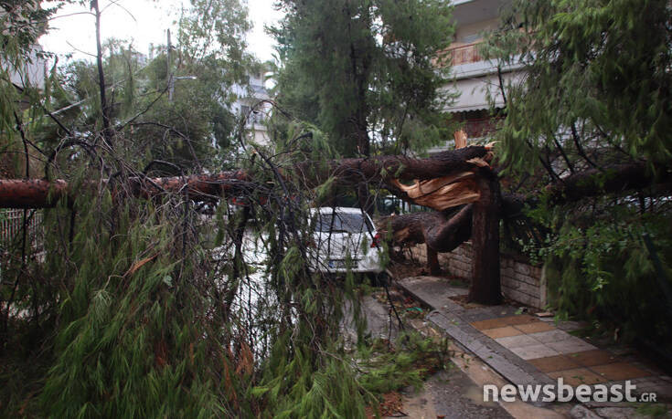 Σε ποιες περιοχές της Αττικής διακόπηκε η κυκλοφορία λόγω πτώσης δέντρων &#8211; «Μας βρήκε δύσκολη ημέρα» αναφέρει ο δήμαρχος Ηρακλείου