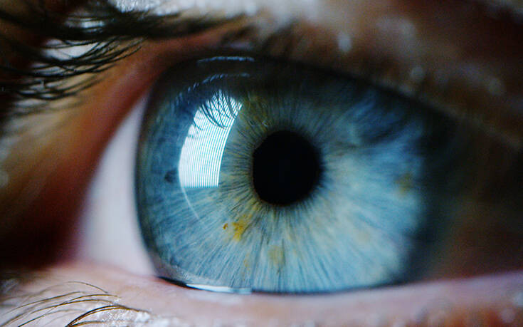 Επίτευγμα &#8211; ορόσημο: Επιστήμονες επανέφεραν την όραση σε πειραματόζωα που είχαν τυφλωθεί
