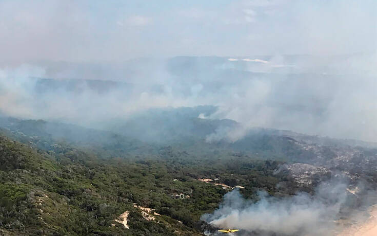 Αυστραλία: Υπό έλεγχο οι πυρκαγιές στη νήσο Φρέιζερ &#8211; Καταστράφηκαν πάνω από τα μισά δάση