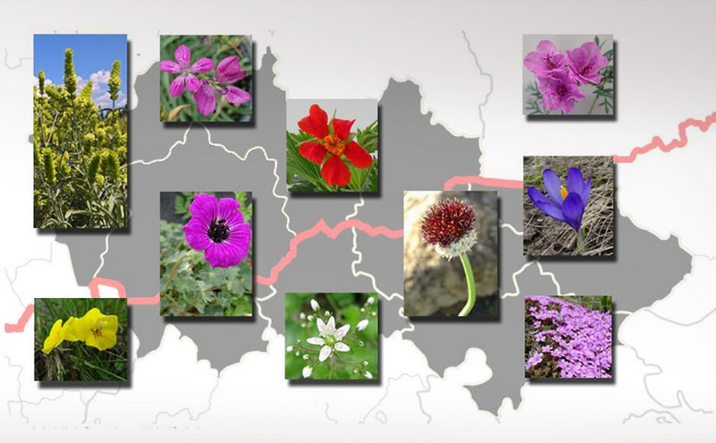 Περιήγηση με ένα «κλικ» από τον Μάρτιο στον Βαλκανικό Βοτανικό Κήπο Κρουσσιών