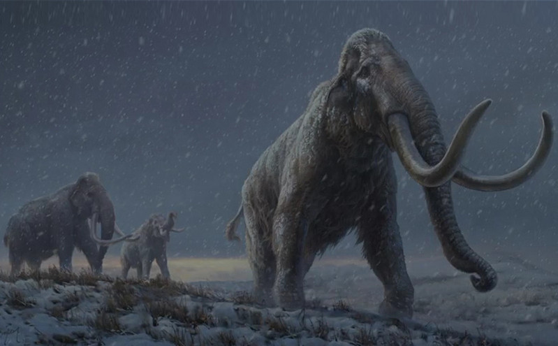 Απομονώθηκε το αρχαιότερο DNA στον κόσμο  από απομεινάρια μαμούθ στη Σιβηρία ηλικίας 1,2 εκατ. ετών