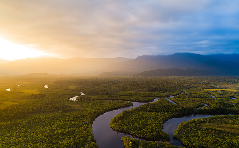 Βραζιλία: Μειώθηκε κατά 68% η αποψίλωση του τροπικού δάσους του Αμαζονίου
