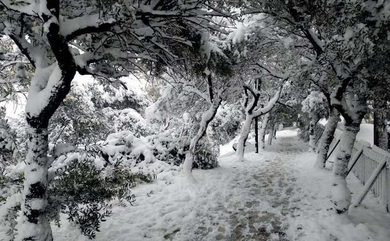 Καιρός: Ρεκόρ βροχόπτωσης και χιονοκάλυψης για αρχές Δεκεμβρίου στην Ελλάδα