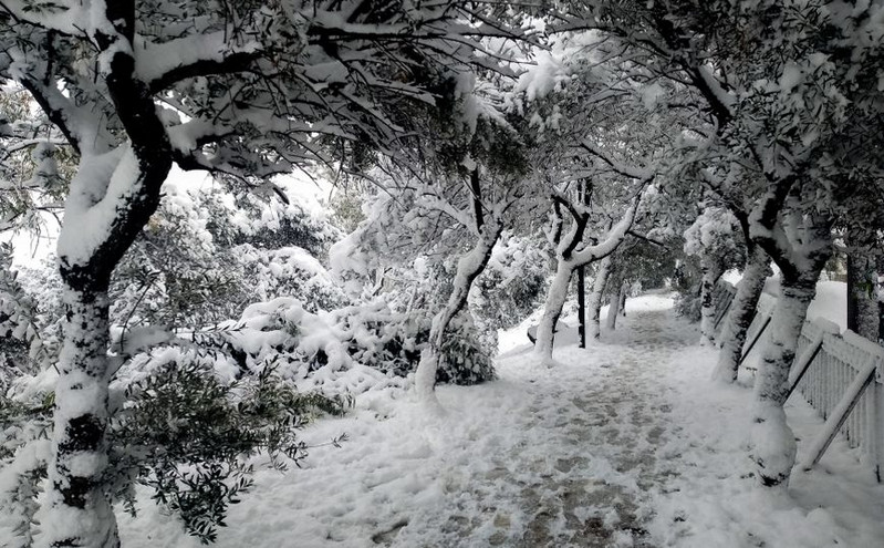 Χιονοπτώσεις στην Ήπειρο: Απαγόρευση κυκλοφορίας σε φορτηγά και νταλίκες &#8211; Κλειστά τα σχολεία στο Μέτσοβο