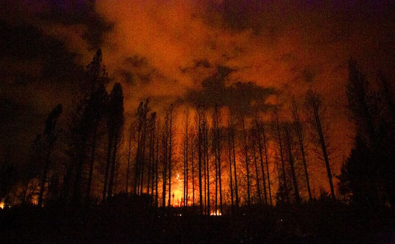 Η Παταγονία φλέγεται από τεράστιες δασικές πυρκαγιές