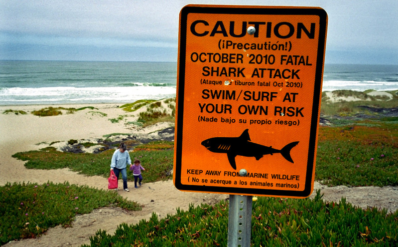 Το τρομακτικό δάγκωμα καρχαρία στον ώμο 9χρονου παιδιού