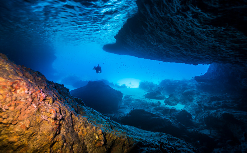 Μυστηριώδες θαλάσσιο πλάσμα τεσσάρων τόνων και επτά μέτρων ξεβράστηκε σε παραλία