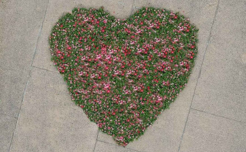 Μια καρδιά λουλούδια για τις μητέρες από τον Δήμο Θεσσαλονίκης