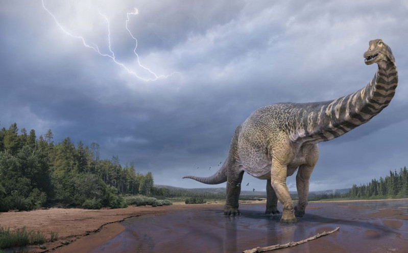 Αυστραλοτιτάν: Δεινόσαυρος που ανακαλύφθηκε στην Αυστραλία είχε μήκος όσο ένα γήπεδο μπάσκετ