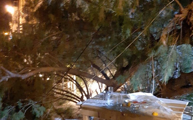 Μυτιλήνη: Κλαδί δέντρου έπεσε πάνω στην αντιδήμαρχο Καθαριότητας την ώρα που έτρωγε σε ταβέρνα
