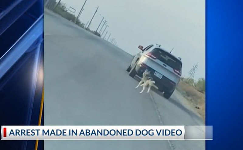 Θλίψη προκαλεί βίντεο με σκύλο που εγκαταλείπεται στην άκρη του δρόμου και κυνηγά το αυτοκίνητο