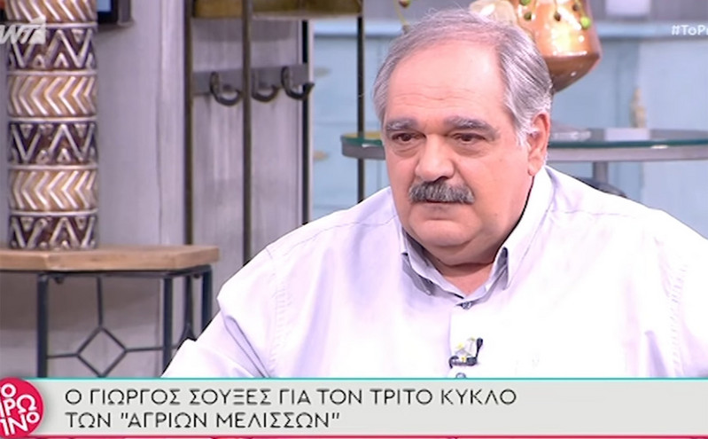 Άγριες Μέλισσες: Ο Γιώργος Σουξές παραλίγο να απολυθεί από την σειρά