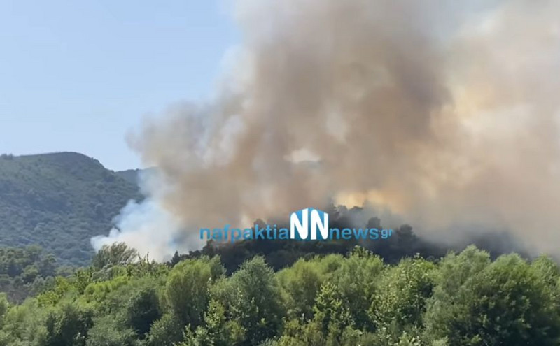 Μεγάλη φωτιά τώρα στην Αιτωλοακαρνανία &#8211; Εκκενώνονται προληπτικά οι οικισμοί Παραδείσι και Πεπάτη
