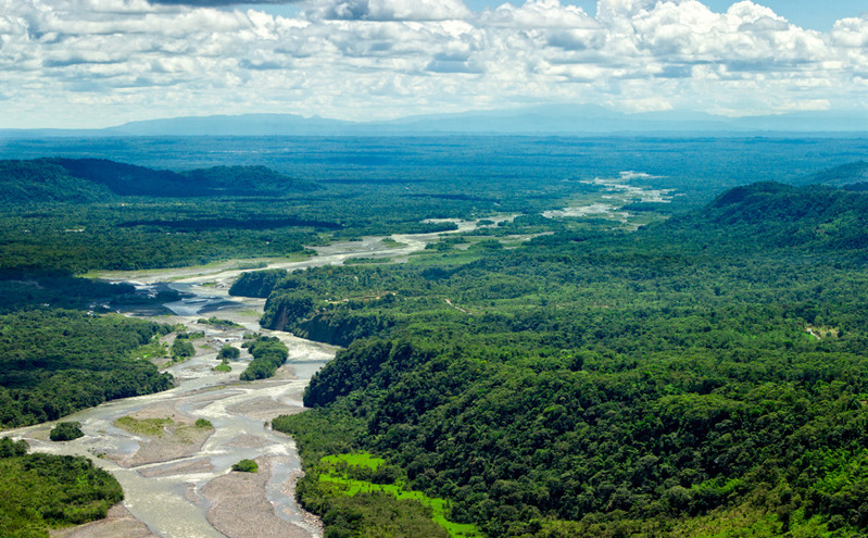 Πόσο έχει καταστρέψει το δάσος του Αμαζονίου ο άνθρωπος