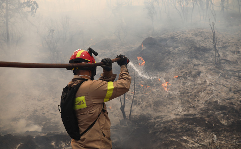 Φωτιά στο Σούνιο: Τέθηκε υπό έλεγχο &#8211; «Οφείλεται σε εμπρησμό»