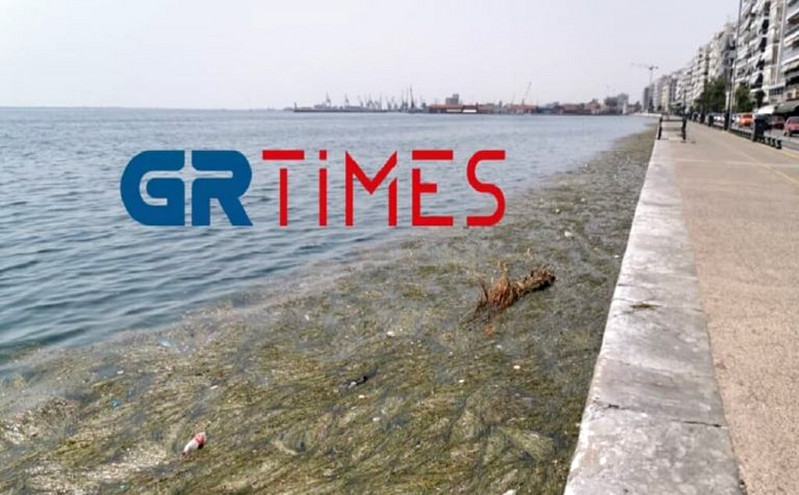 Θεσσαλονίκη: Αποκρουστικές εικόνες από τον θερμαϊκό &#8211; Γέμισε με σκουπίδια και νεκρά πτηνά